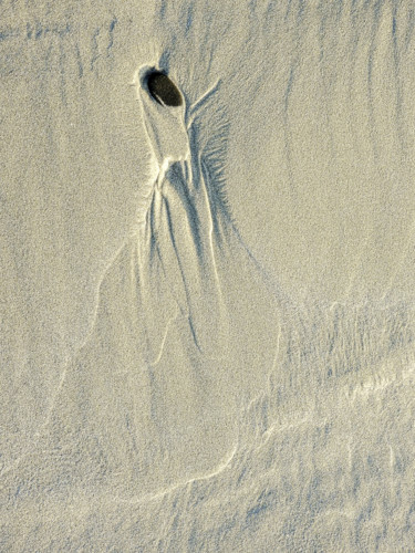Photographie intitulée "Femme du désert." par Alain Brasseur, Œuvre d'art originale