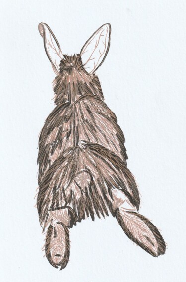 Drawing titled "Lapin" by O.M.A., Original Artwork, Marker