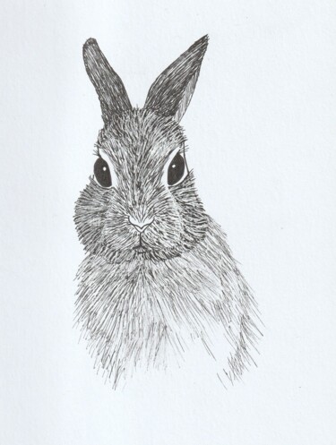 Drawing titled "Lapin de face" by O.M.A., Original Artwork, Marker
