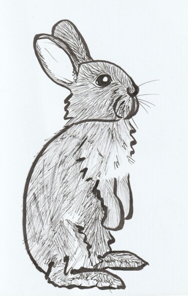 Drawing titled "Lapin debout" by O.M.A., Original Artwork, Marker