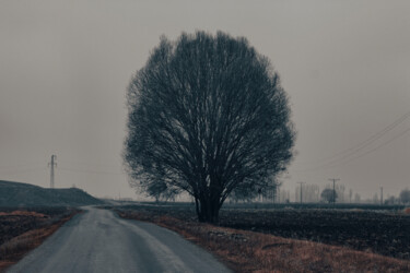 Photography titled "tree" by Orhan Güldeste, Original Artwork, Manipulated Photography