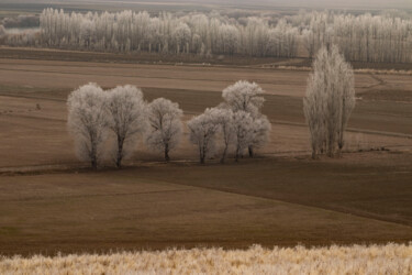 Fotografie getiteld "view" door Orhan Güldeste, Origineel Kunstwerk, Gemanipuleerde fotografie