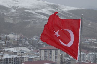 Fotografia intitulada "red and white turki…" por Orhan Güldeste, Obras de arte originais, Fotografia Não Manipulada