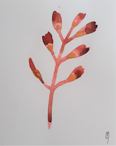 Peinture intitulée "Algue Rouge" par Céline Marcoz, Œuvre d'art originale, Aquarelle