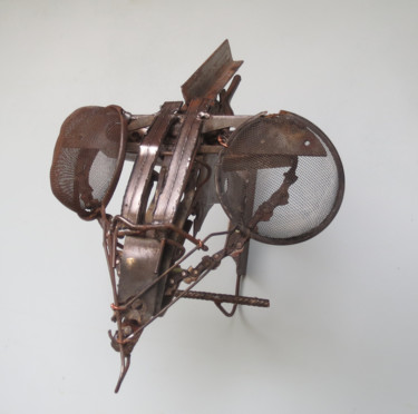 Sculpture titled "Mouche metal" by Olivier Clop, Original Artwork, Metals