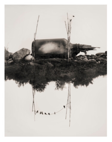 Photography titled "De cuervos y plomas" by Oriol Jolonch, Original Artwork, Digital Photography