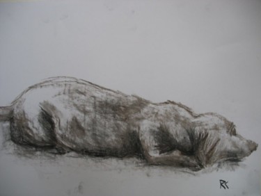 Zeichnungen mit dem Titel "Hund" von Ralf Czekalla, Original-Kunstwerk, Kohle