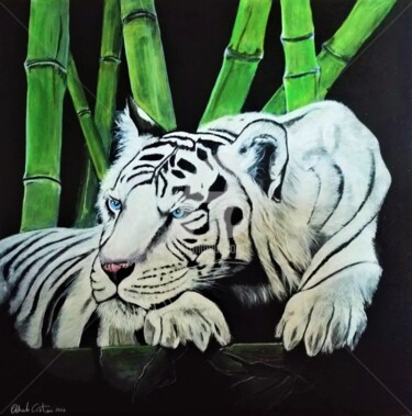 Peinture intitulée "Tigre bianca" par Orlando Cristiani, Œuvre d'art originale, Acrylique