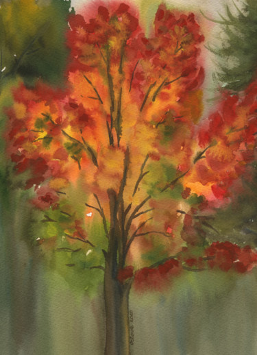 Red maple (watercolour) Картина под названием "Red maple (watercol…" - Natali Orlova, Подлинное произведение искусства, Акварель