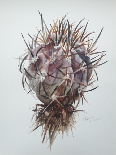 Peinture intitulée "Cactus Copiapoa Dura" par Oscar Torres Perez, Œuvre d'art originale, Aquarelle
