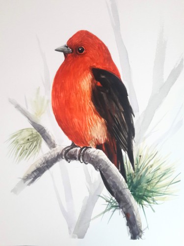 Malarstwo zatytułowany „Oiseau tropical” autorstwa Oscar Torres Perez, Oryginalna praca, Akwarela