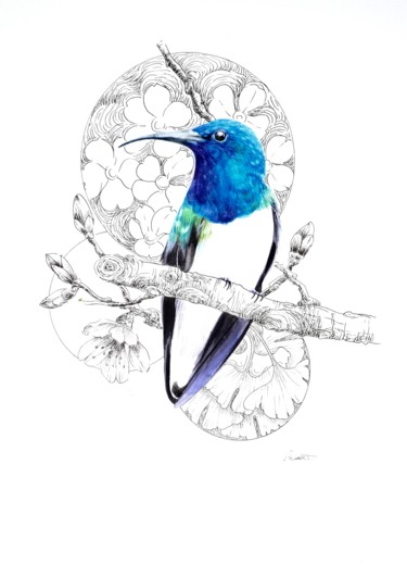 Colibri , Sakura & Gingko Картина под названием "Colibri , Sakura &…" - Oscar Torres Perez, Подлинное произведение искусства, Акварель