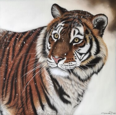 Рисунок под названием "Amur Tiger" - Алёна Ошкина, Подлинное произведение искусства, Пастель