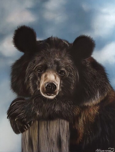 Рисунок под названием "Himalayan Black Bear" - Алёна Ошкина, Подлинное произведение искусства, Пастель