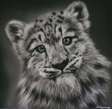 Рисунок под названием "Snow leopard  Manju" - Алёна Ошкина, Подлинное произведение искусства, Пастель