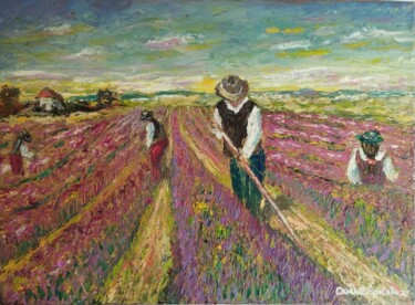 Painting titled "Campo de lavanda co…" by Osmar Ropelatto, Original Artwork, Oil Mounted on Wood Stretcher frame