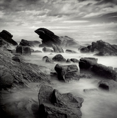 Fotografie mit dem Titel "Sea Lion" von Aleksandr Osokin, Original-Kunstwerk, Analog Fotografie