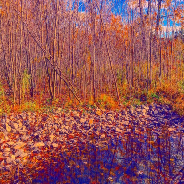 Photography titled "BOISE IMPRESSIONNIS…" by Jean-Luc Osswald, Original Artwork, Manipulated Photography