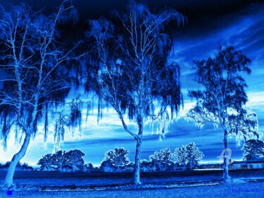 Fotografia zatytułowany „Moonlit Landscape” autorstwa Otto Frühwach, Oryginalna praca, Fotografia cyfrowa
