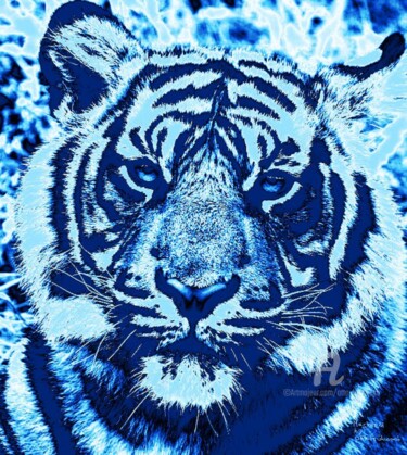 Fotografia intitolato "Blue Tiger" da Otto Frühwach, Opera d'arte originale, Fotografia digitale