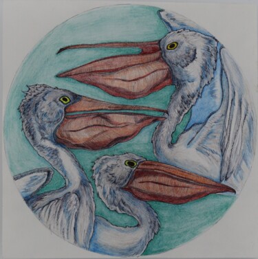 Dessin intitulée "Pelican 2" par Oxana Kondratenko, Œuvre d'art originale, Stylo à bille