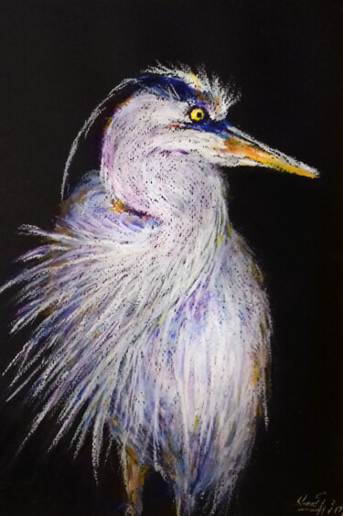 Disegno intitolato "Great Blue Heron" da Oxana Shimanchuk, Opera d'arte originale, Pastello
