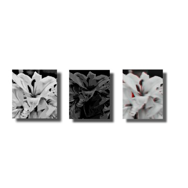 "Trio" başlıklı Fotoğraf Ozz tarafından, Orijinal sanat, Dijital Fotoğrafçılık