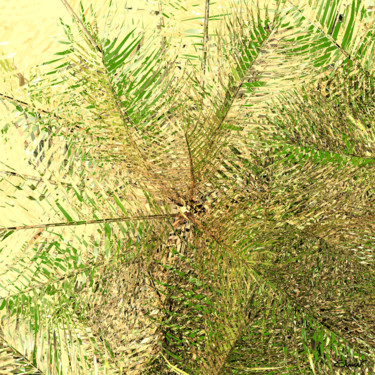 Arts numériques intitulée "palms-8-1-67x67-sig…" par Patrice Elmer, Œuvre d'art originale, Modélisation 3D