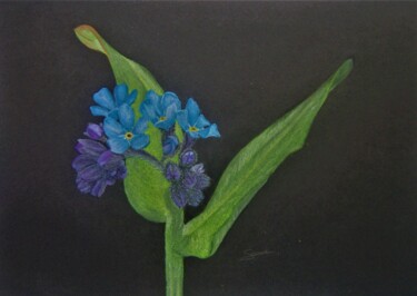 Drawing titled "Forget me not" by P. Le Sommer, Original Artwork, Pastel