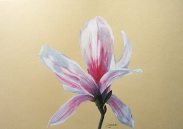 Pintura intitulada "Magnolia" por P. Le Sommer, Obras de arte originais, Acrílico