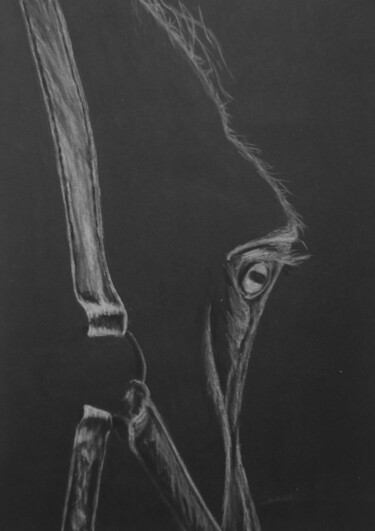 Drawing titled "Black and white hor…" by P. Le Sommer, Original Artwork, Pastel