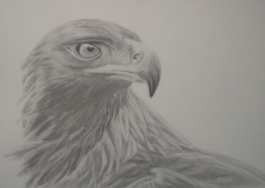 Dibujo titulada "Eagle" por P. Le Sommer, Obra de arte original, Grafito