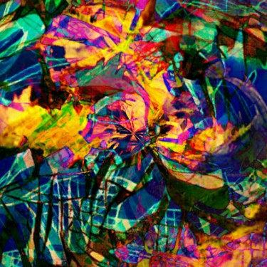 Artes digitais intitulada "colour blast" por P W Van Dijck, Obras de arte originais, Trabalho Digital 2D
