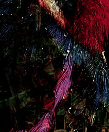 Artes digitais intitulada "feathery jungle" por P W Van Dijck, Obras de arte originais, Trabalho Digital 2D