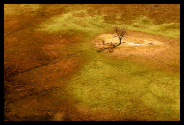 摄影 标题为“Okavango” 由P. Zimmermann, 原创艺术品, 非操纵摄影