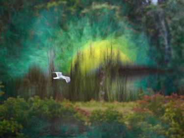 Digital Arts titled "forest surrealism" by Padmanabha Joshi, Original Artwork, Photo Montage