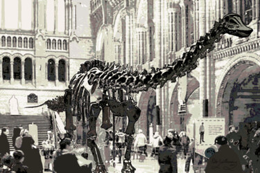 Fotografia intitolato "Dinosaur. Natural H…" da Pablo Guillamon, Opera d'arte originale, Fotografia digitale
