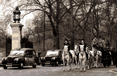 Fotografie mit dem Titel "Carriages at Buckin…" von Pablo Guillamon, Original-Kunstwerk, Digitale Fotografie