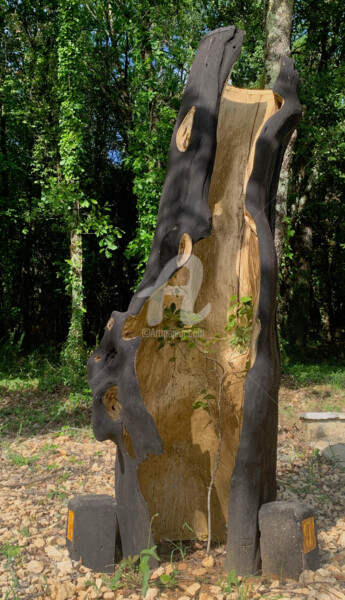 Skulptur mit dem Titel "A.F." von Pagès Du Pilou, Original-Kunstwerk, Holz