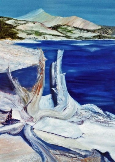 Peinture intitulée "lac des pyrénées" par Catherine Simon, Œuvre d'art originale
