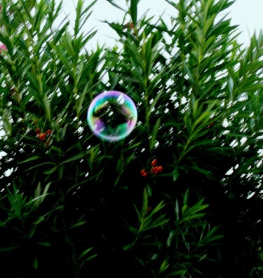 Φωτογραφία με τίτλο "Bubble" από Pakokante, Αυθεντικά έργα τέχνης