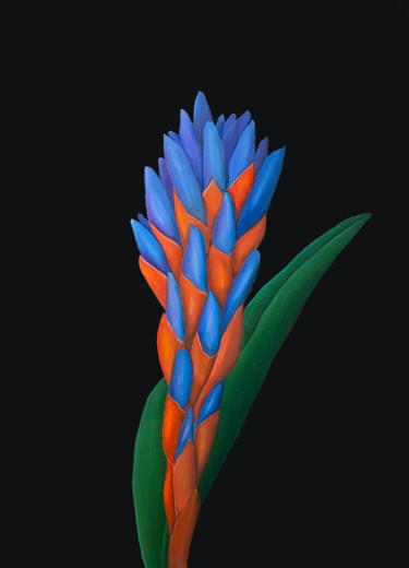 Картина под названием "Quesnelia flower Re…" - Kirill Parshenkov (Cyril Black), Подлинное произведение искусства, Масло Уста…