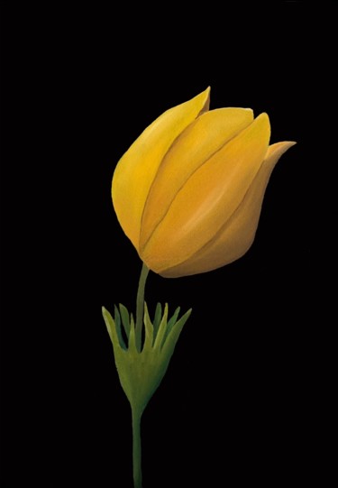 Pittura intitolato "Yellow tulip FREE S…" da Kirill Parshenkov (Cyril Black), Opera d'arte originale, Olio Montato su Telaio…