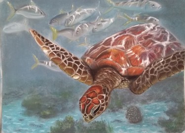 Dessin intitulée "tortue marine" par Nicolas Panardie, Œuvre d'art originale, Pastel