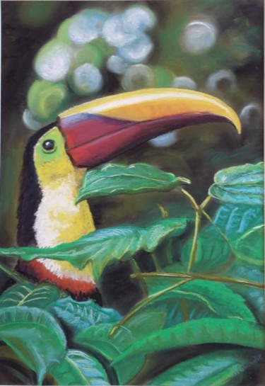 Drawing titled "toucan" by Nicolas Panardie, Original Artwork, Pastel