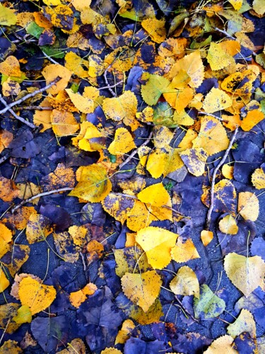 Fotografía titulada "autumn colors" por Paobel, Obra de arte original, Fotografía digital