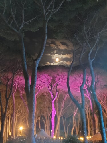 Фотография под названием "fucsia tree" - Paobel, Подлинное произведение искусства, Цифровая фотография
