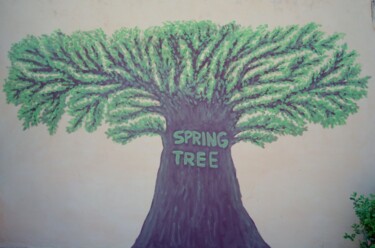 Painting titled "Spring tree" by Paolo Avanzi, Original Artwork, Oil