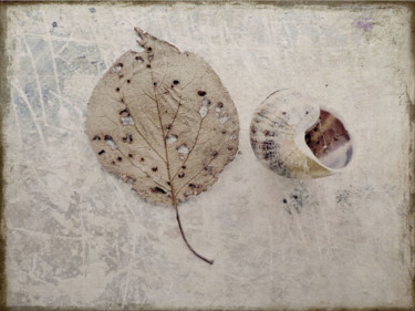 Arte digitale intitolato "foglia con chioccio…" da Paolo Righi, Opera d'arte originale