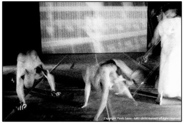 Fotografia intitolato ""Zeitgeist-Animal F…" da Paolo Sasso, Opera d'arte originale